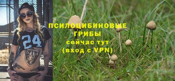 ALPHA PVP Богородицк